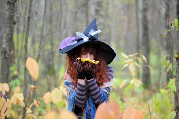 森林里的巫婆 — 图库照片