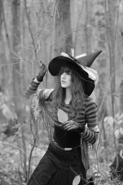 Witch in the forest — Stock Photo, Image