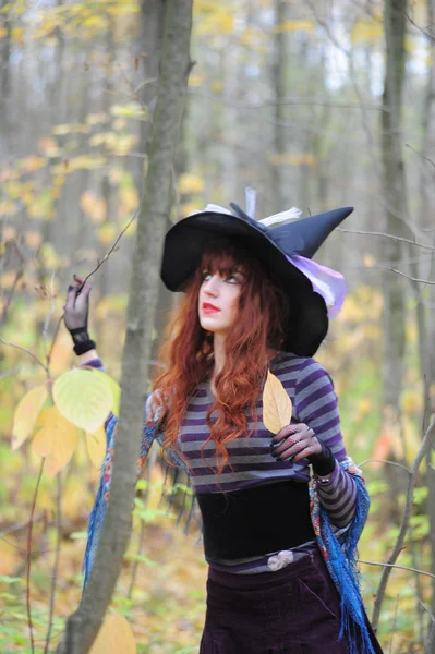 森の中の魔女 — ストック写真