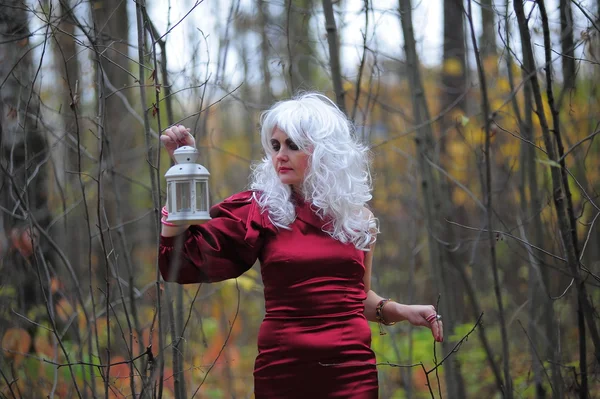 Mooie jonge vrouw in het beeld van de heks in het bos op halloween. — Stockfoto