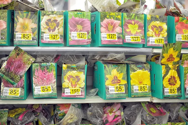 Пакет квітка насіння для продажу — стокове фото