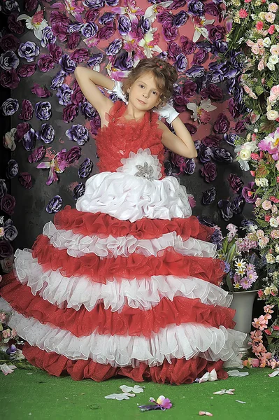 一个年轻女孩在服装公主. — 图库照片