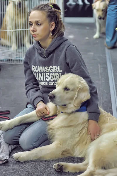 Internationale Hundeausstellung spring petersburg - 2014. — Stockfoto