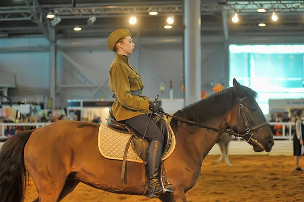 Exposición raza caballos — Foto de Stock