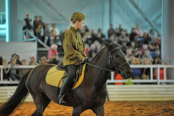 Utställningen rasen hästar — Stockfoto