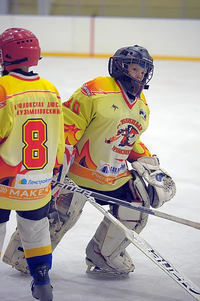 Children playing hockey — Stock Photo, Image