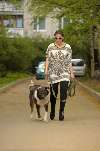 Köpeğiyle yürüyen bir kadın. — Stok fotoğraf
