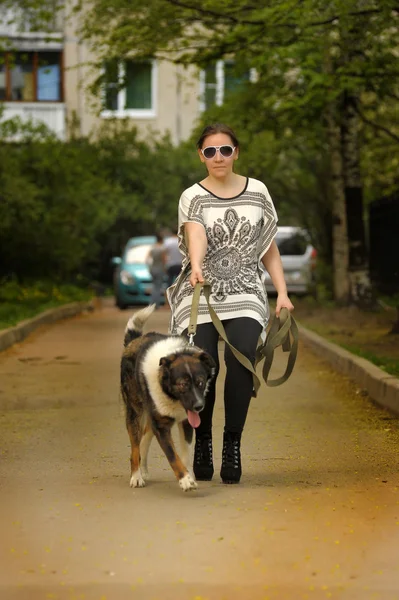 Köpeğiyle yürüyen bir kadın. — Stok fotoğraf