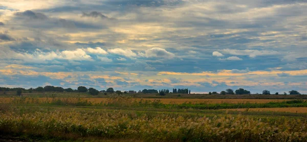 Zonsopgang Bewolking Het Veld Vroege Herfst — Stockfoto