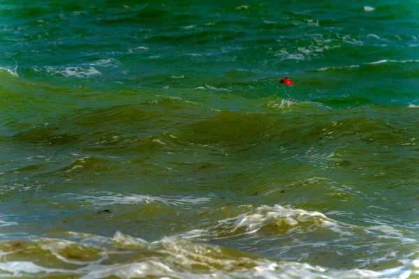 黒海の嵐の間の海岸線に沿った波 — ストック写真