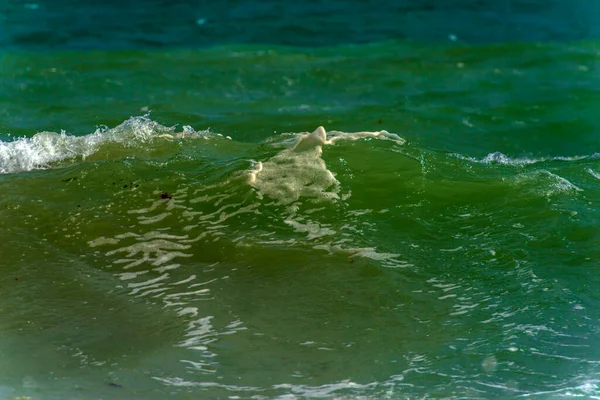 Vågor Längs Kusten Storm Svarta Havet — Stockfoto