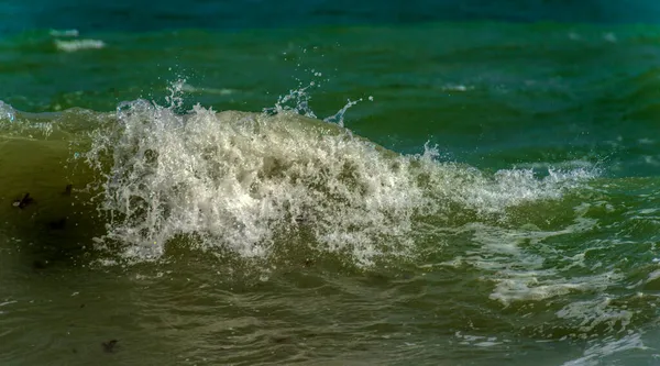 Vagues Long Côte Lors Une Tempête Sur Mer Noire — Photo