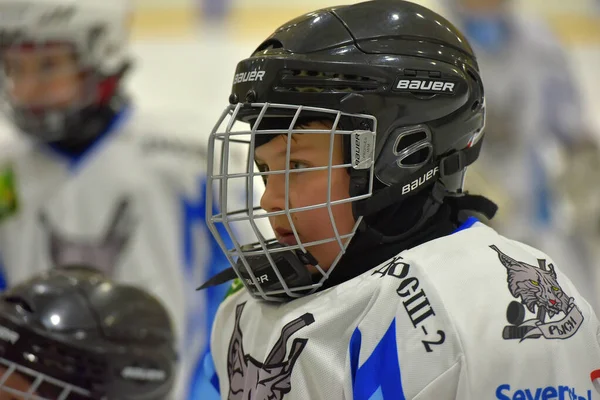 Russia Petersburg 2019 Children Playing Hockey Open Tournament Children Hockey — Stock Photo, Image