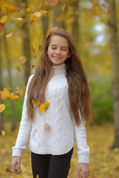 가을에 공원에서 스웨터를 갈색의 — 스톡 사진