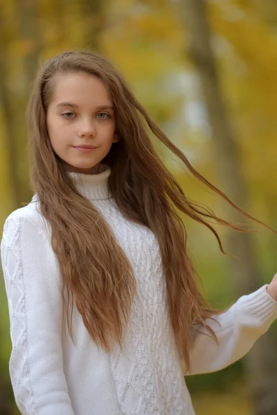 公園で秋に白いセーターを着た若い女の子のブルネットの子供 — ストック写真