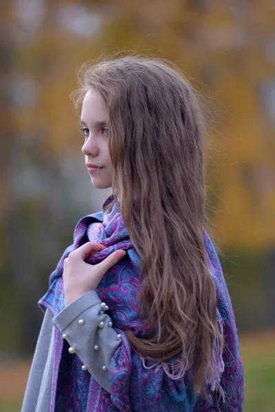 Young Brunette Girl Autumn Park Scarf Her Shoulders — Stock Photo, Image