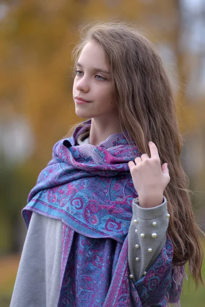 若いブルネットの女の子秋公園で彼女の肩にスカーフで — ストック写真
