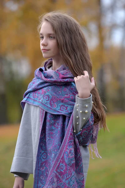 Junges Brünettes Mädchen Herbst Park Mit Einem Schal Auf Den — Stockfoto