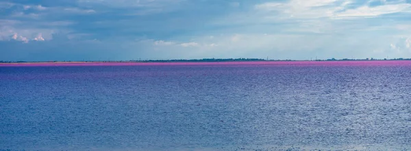 Sasyk Sivash Lago Sal Incrível Com Água Rosa — Fotografia de Stock