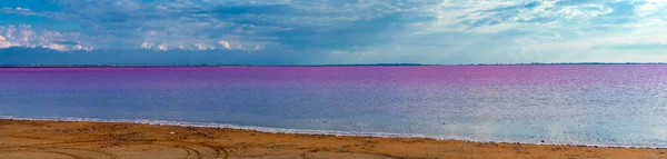 Sasyk Sivash Úžasné Slané Jezero Růžovou Vodou — Stock fotografie