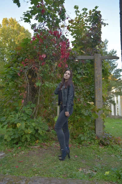 在秋天的公园里 穿着黑色皮夹克和黑色牛仔裤的布鲁内特女孩 — 图库照片