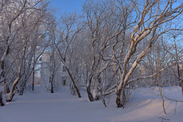 Russia Vorkuta 2021 Severny Village Abandoned Houses Winter Snow — Stock Photo, Image