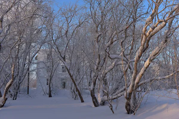 Russia Vorkuta 2021 Severny Village Abandoned Houses Winter Snow — Stock Photo, Image