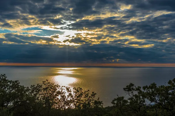 Sunset Sea Trees Foreground — Stock Photo, Image