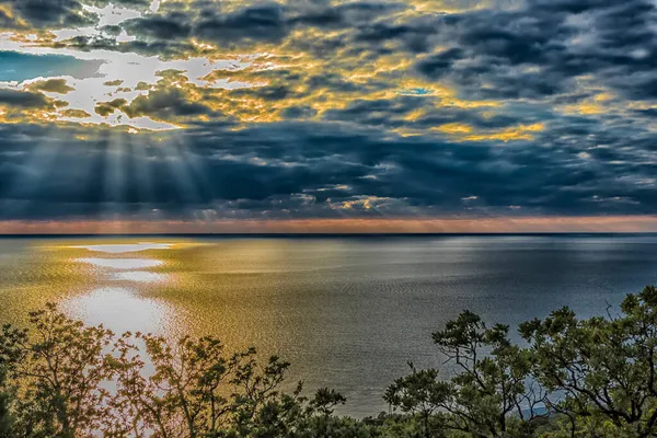 Gün Batımı Denizin Üzerinde Ağaçların Arasında Planda — Stok fotoğraf