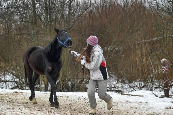 Adolescente Inverno Com Cavalo Cais — Fotografia de Stock
