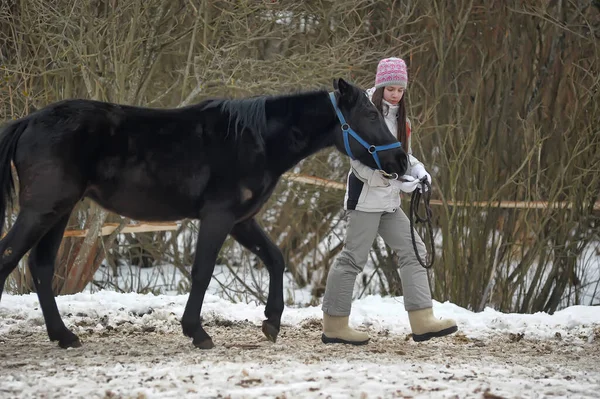 Tiener Meisje Winter Met Een Paard Paddock — Stockfoto