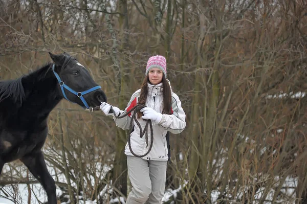 冬天的少女 带着一匹马在围场里 — 图库照片