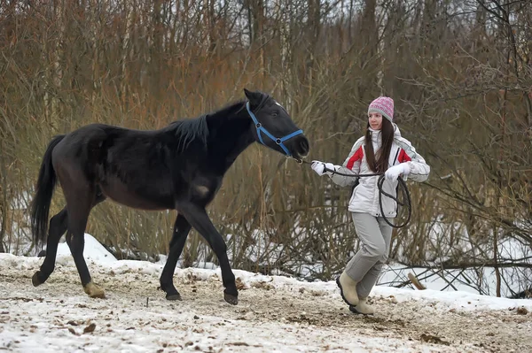 Девушка Подросток Зимой Лошадью Загоне — стоковое фото