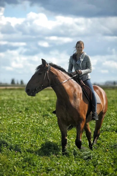 Verano Adolescente Chica Con Caballo Campo — Foto de Stock