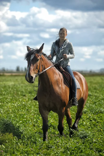 在田里骑着马的夏季少女 — 图库照片