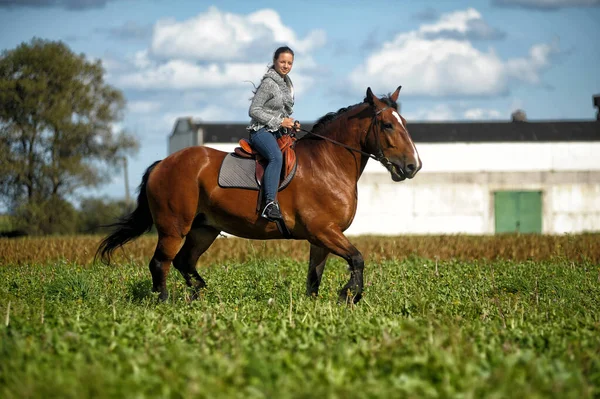 在田里骑着马的夏季少女 — 图库照片