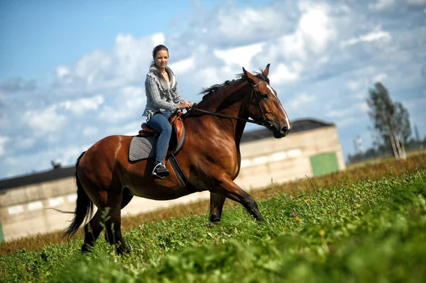 Estate Adolescente Ragazza Con Cavallo Nel Campo — Foto Stock