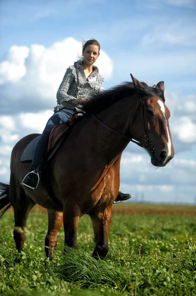 Summer Teenager Girl Horse Field — Stock Photo, Image