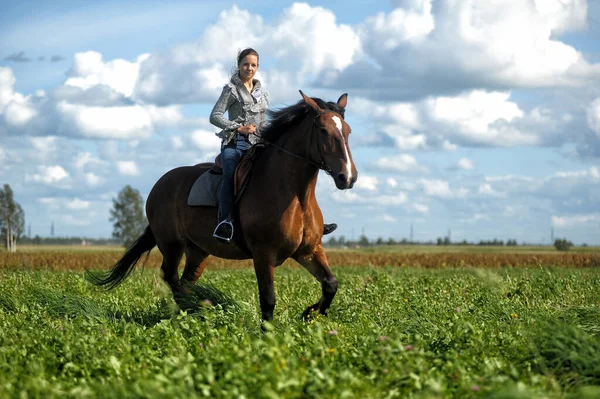 Zomer Tiener Meisje Met Een Paard Het Veld — Stockfoto