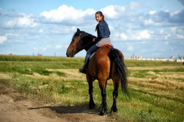 Summer Teenager Girl Horse Field — Stock Photo, Image