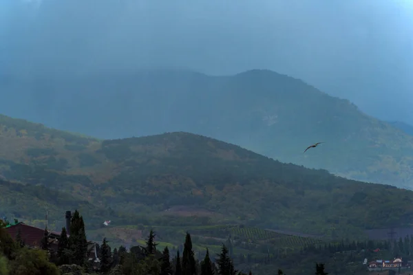 Panorama Hor Silueta Horských Hřebenů Jehličnatých Stromů Pozadí Barevné Oblohy — Stock fotografie