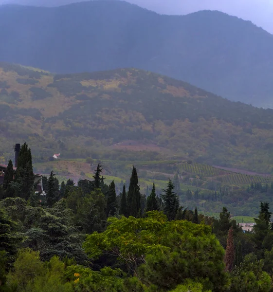 Panorama Montanhas Silhueta Cumes Montanha Árvores Coníferas Fundo Céu Colorido — Fotografia de Stock