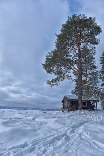 冬は湖のそばの木造住宅と松の木 — ストック写真