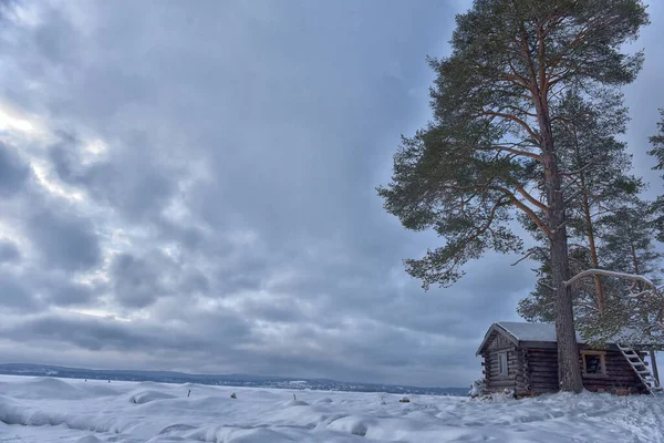 冬は湖のそばの木造住宅と松の木 — ストック写真