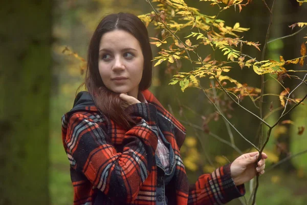 Brunette Fille Dans Manteau Carreaux Dans Parc Automne — Photo