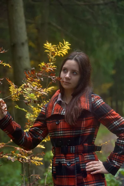 Brunetka Dívka Kostkovaném Kabátě Podzimním Parku — Stock fotografie