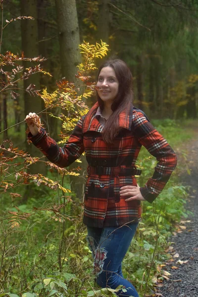 Ragazza Bruna Cappotto Quadri Nel Parco Autunnale — Foto Stock