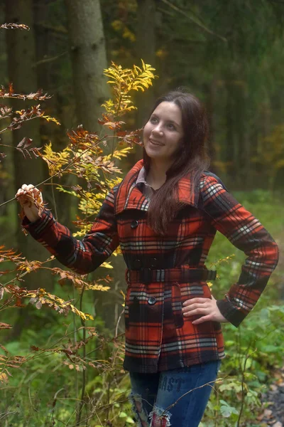 Brünettes Mädchen Karierten Mantel Herbstpark — Stockfoto