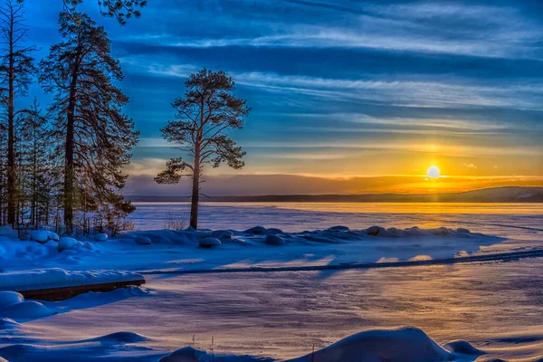 Krajobraz Zimowy Sosny Słońce Śnieg — Zdjęcie stockowe