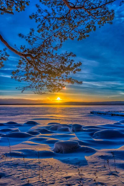 Kış Manzarası Çam Ağaçları Güneş Kar — Stok fotoğraf